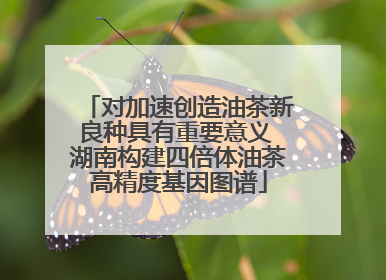对加速创造油茶新良种具有重要意义 湖南构建四倍体油茶高精度基因图谱