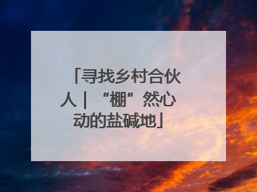 寻找乡村合伙人｜“棚”然心动的盐碱地
