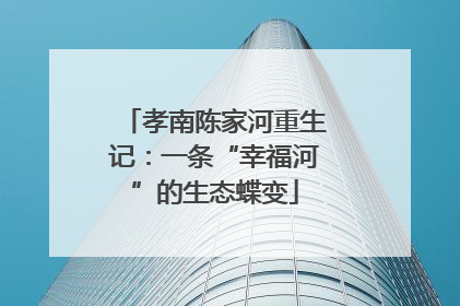 孝南陈家河重生记：一条“幸福河”的生态蝶变
