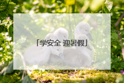 学安全 迎暑假