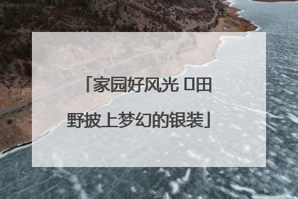 家园好风光 ⎮田野披上梦幻的银装