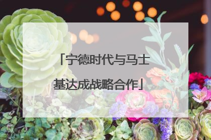 宁德时代与马士基达成战略合作
