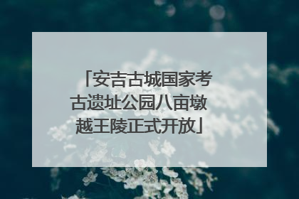 安吉古城国家考古遗址公园八亩墩越王陵正式开放