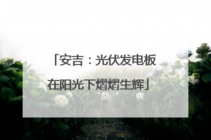 安吉：光伏发电板在阳光下熠熠生辉