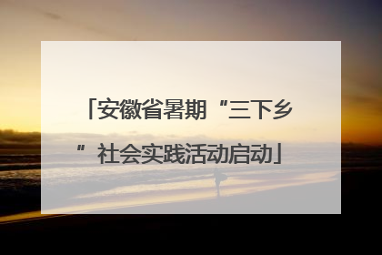 安徽省暑期“三下乡”社会实践活动启动