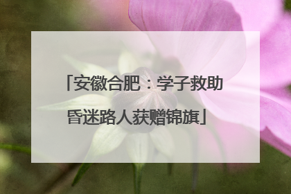 安徽合肥：学子救助昏迷路人获赠锦旗