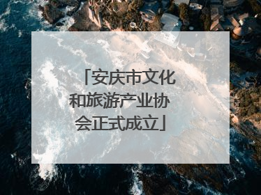 安庆市文化和旅游产业协会正式成立