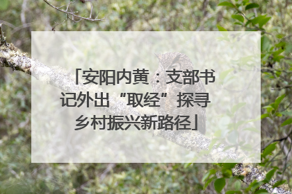 安阳内黄：支部书记外出“取经”探寻乡村振兴新路径