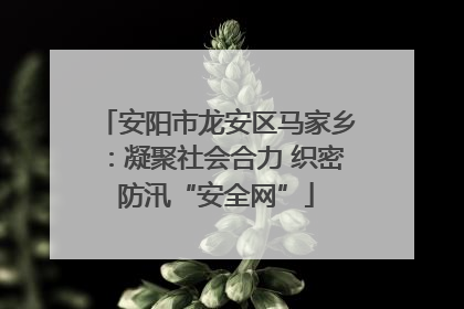 安阳市龙安区马家乡：凝聚社会合力 织密防汛“安全网”