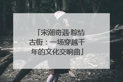 宋潮奇遇·粽情古街：一场穿越千年的文化交响曲