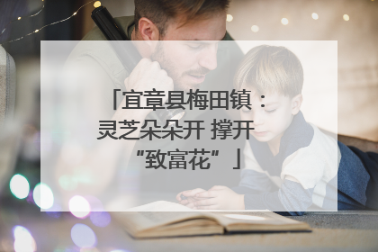 宜章县梅田镇：灵芝朵朵开 撑开“致富花”