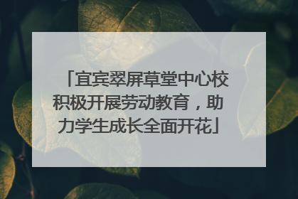 宜宾翠屏草堂中心校积极开展劳动教育，助力学生成长全面开花