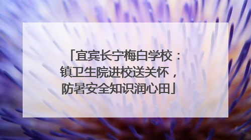 宜宾长宁梅白学校：镇卫生院进校送关怀，防暑安全知识润心田