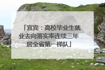 宜宾：高校毕业生就业去向落实率连续三年居全省第一梯队