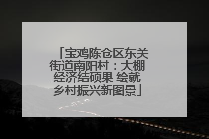 宝鸡陈仓区东关街道南阳村：大棚经济结硕果 绘就乡村振兴新图景