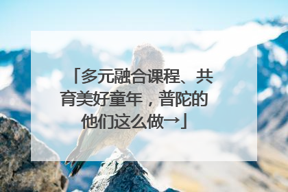 多元融合课程、共育美好童年，普陀的他们这么做→