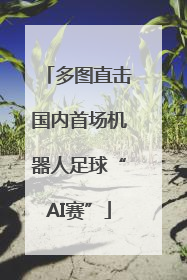 多图直击国内首场机器人足球“AI赛”