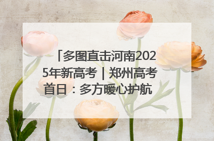 多图直击河南2025年新高考｜郑州高考首日：多方暖心护航 助力学子逐梦