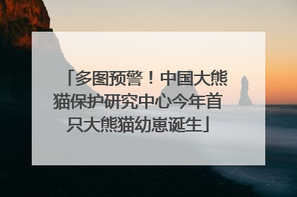 多图预警！中国大熊猫保护研究中心今年首只大熊猫幼崽诞生