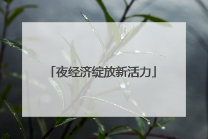 夜经济绽放新活力