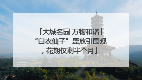 大城名园 万物和谐│“白衣仙子”盛放引围观，花期仅剩半个月