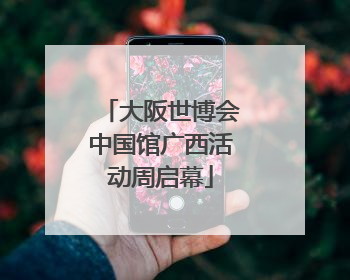 大阪世博会中国馆广西活动周启幕