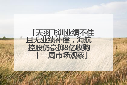 天羽飞训业绩不佳且无业绩补偿，海航控股仍豪掷8亿收购丨一周市场观察