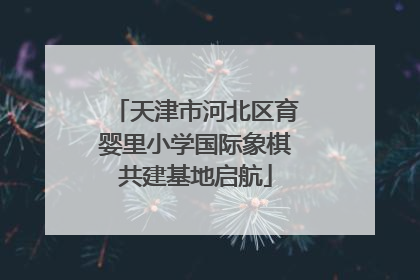 天津市河北区育婴里小学国际象棋共建基地启航