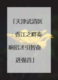 天津武清区：香江之畔奏响招才引智奋进强音