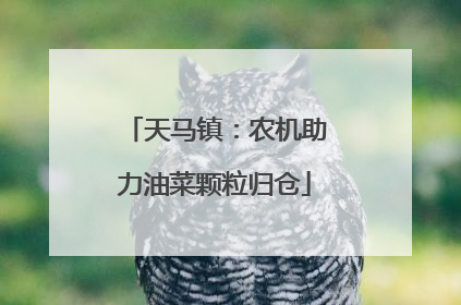 天马镇：农机助力油菜颗粒归仓