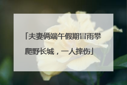 夫妻俩端午假期冒雨攀爬野长城，一人摔伤