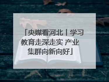 央媒看河北丨学习教育走深走实 产业集群向新向好