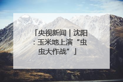 央视新闻｜沈阳：玉米地上演“虫虫大作战”