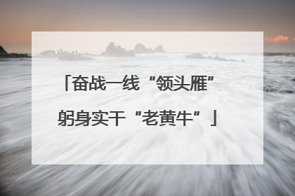 奋战一线“领头雁” 躬身实干“老黄牛”