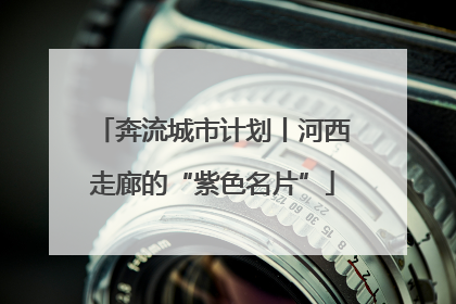 奔流城市计划丨河西走廊的“紫色名片”