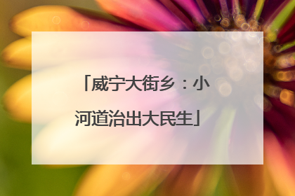 威宁大街乡：小河道治出大民生