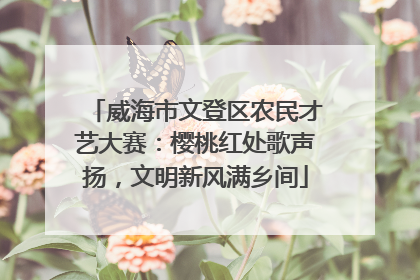 威海市文登区农民才艺大赛：樱桃红处歌声扬，文明新风满乡间