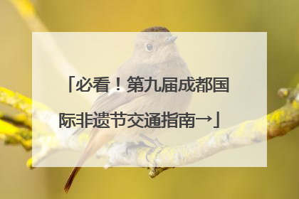 必看！第九届成都国际非遗节交通指南→