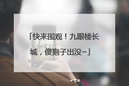 快来围观！九眼楼长城，傻狍子出没~