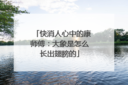 快消人心中的康师傅：大象是怎么长出翅膀的