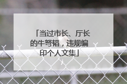当过市长、厅长的牛弩韬，违规编印个人文集