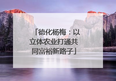 德化杨梅：以立体农业打通共同富裕新路子