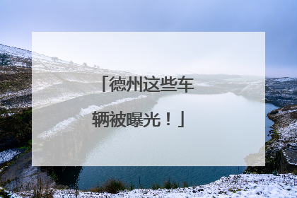 德州这些车辆被曝光！