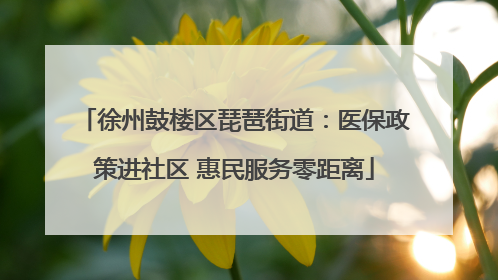 徐州鼓楼区琵琶街道：医保政策进社区 惠民服务零距离