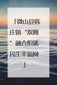 微山县韩庄镇“双圈”融合织就民生幸福网