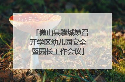 微山县驩城镇召开学区幼儿园安全暨园长工作会议