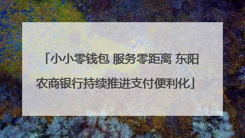 小小零钱包 服务零距离 东阳农商银行持续推进支付便利化