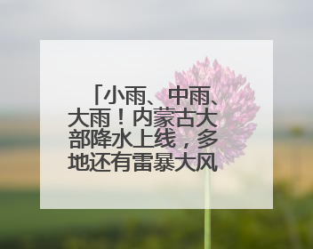 小雨、中雨、大雨！内蒙古大部降水上线，多地还有雷暴大风或冰雹天气