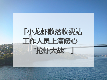 小龙虾散落收费站 工作人员上演暖心“抢虾大战”