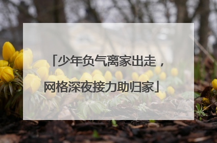 少年负气离家出走，网格深夜接力助归家